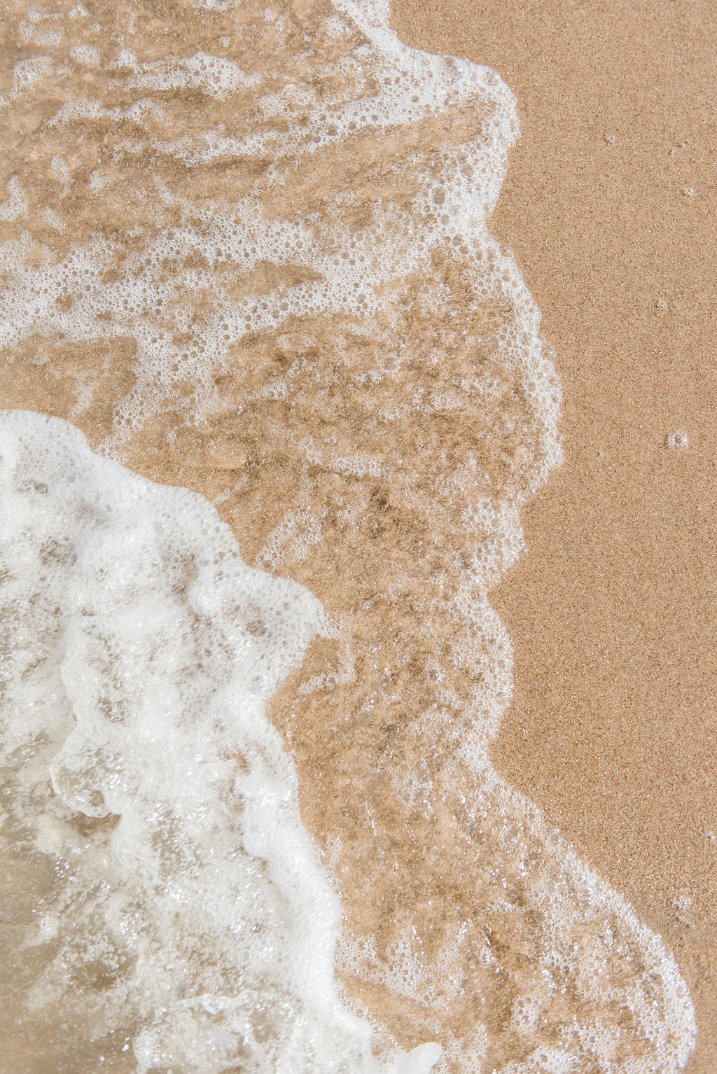 gratis beeldmateriaal 5 vrouw-met-bloemenkrans